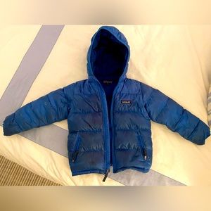 Blue Boys Pategonia Puffer with Hood 5T